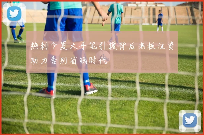 热刺今夏大手笔引援背后老板注资助力告别省钱时代