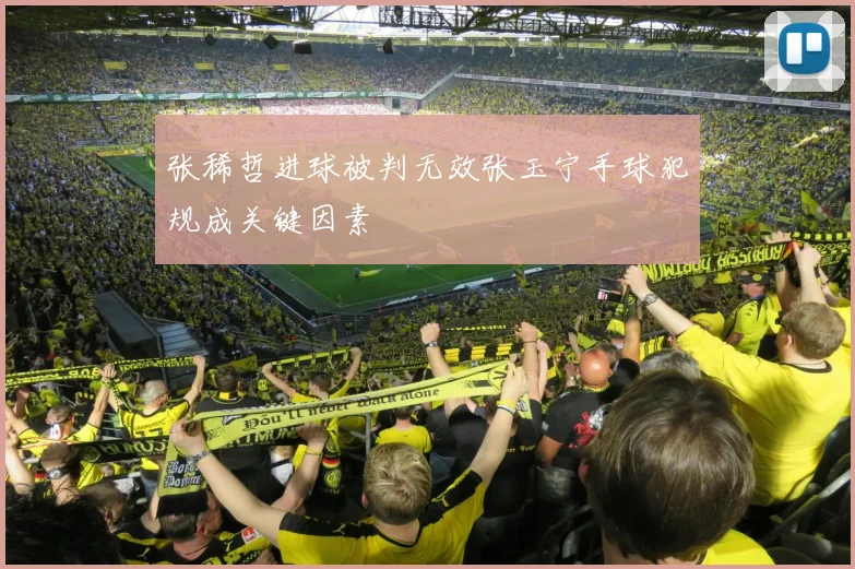 张稀哲进球被判无效张玉宁手球犯规成关键因素