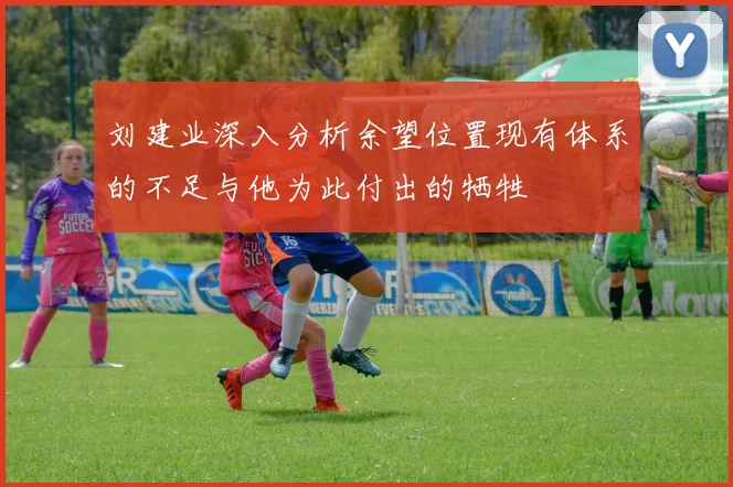 刘建业深入分析余望位置现有体系的不足与他为此付出的牺牲